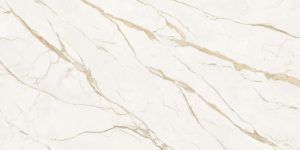 Calacatta Extra 60x120