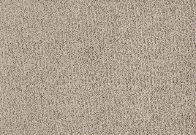 Celeste-Living-Colours-3-color-260-Camel