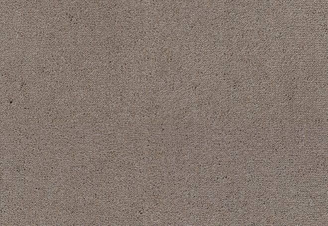 Celeste-Living-Colours-3-color-261-Camel-1