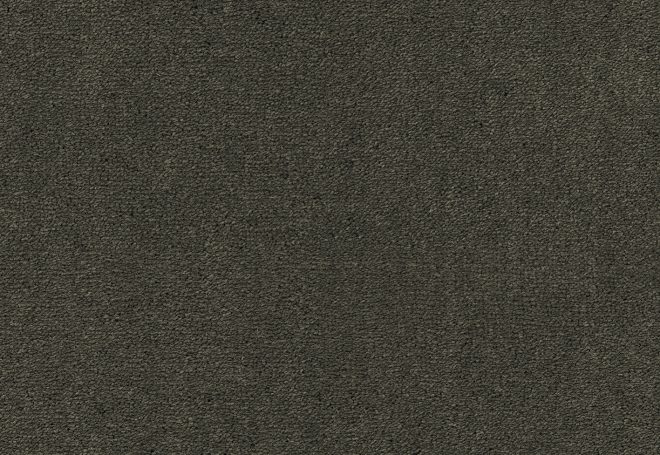 Celeste-Living-Colours-3-color-501-Olive-1