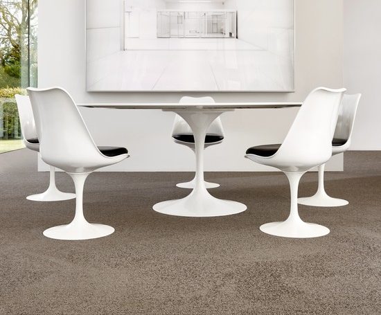 Romance-Living-Colours-3-470-Angora