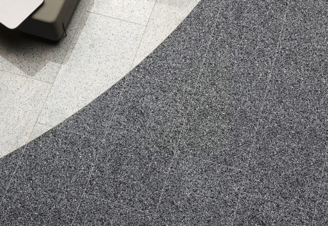 fm_vv_rialto_hall_graphite_amb2_part2_zenitale