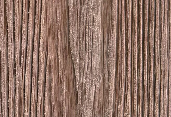 Tech Nexus_Chestnut