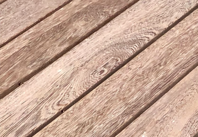 wood_angelim