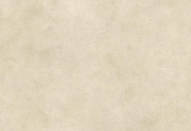AYSI_AtlasConcorde_BoostExpression_Camel_120x278_Matt_3